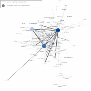 Abb. 4: Netzwerkgraph erstellt mit Visone; Layoutalgorithmus Spring Embedder. [Grafik: Gwanghun Park / Aline Deicke 2024]