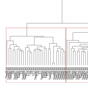 Ausschnitt aus Abbildung 1 des Beitrags, zeigt: Ward.D2 clustering of 112 Calderónian Comedias